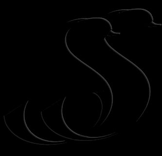 Web Site Store
                              S.r.l